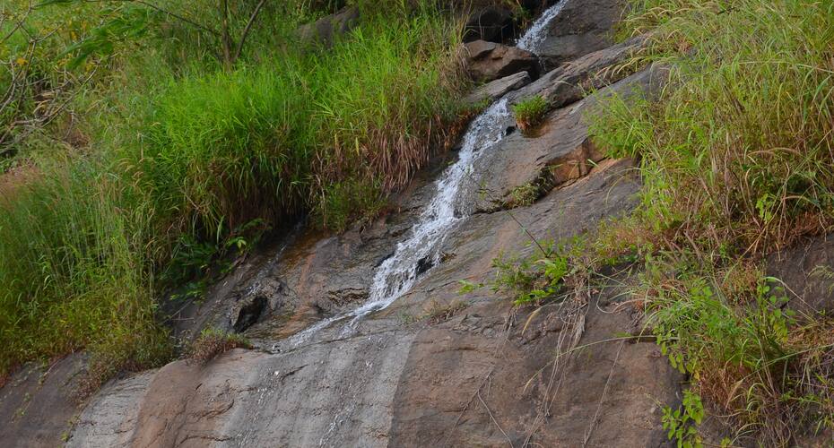 Kumaragiri Farm & Nature Camp, Malappuram 3